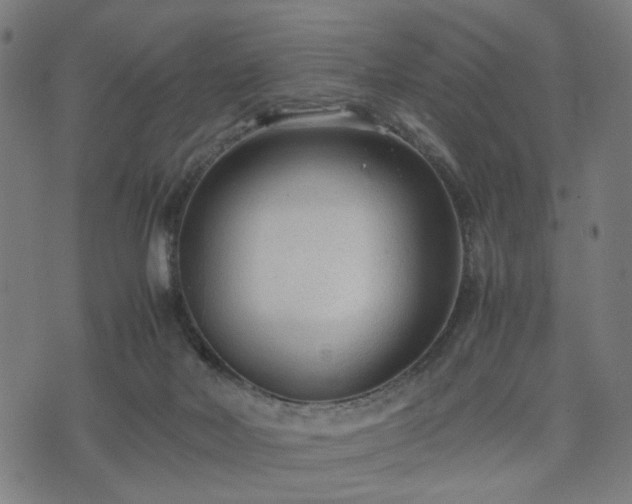 X0000074930026200609081337