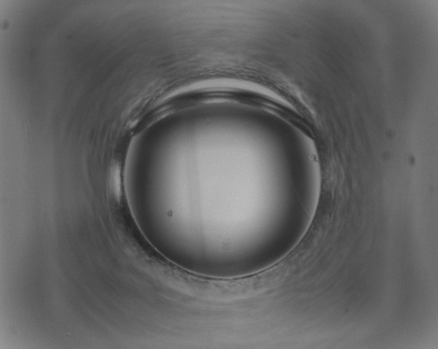 X0000074930027200609081337