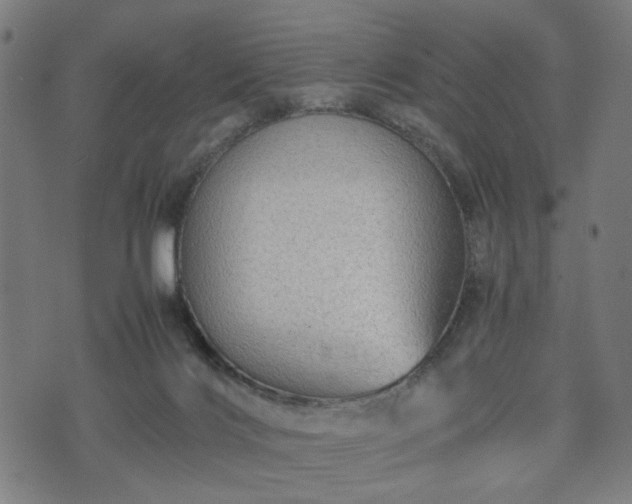 X0000074930028200609081337