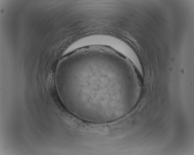 X0000074930029200609081337