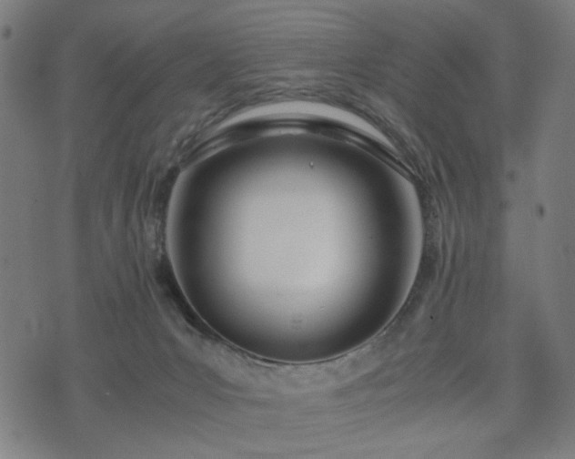 X0000074930031200609081337