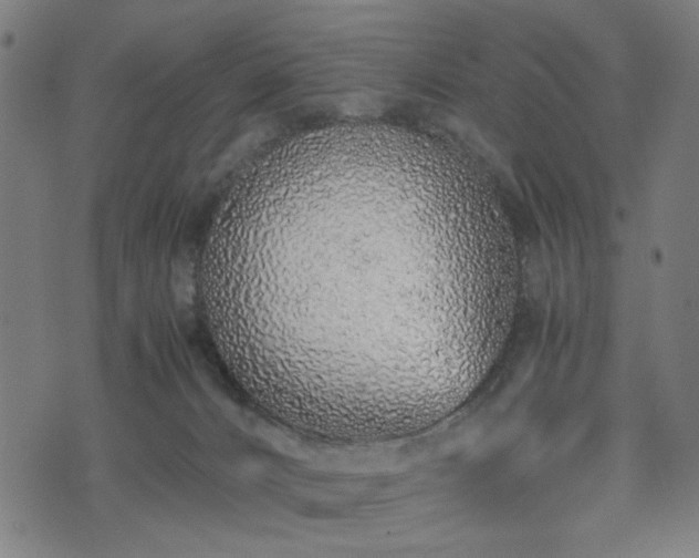 X0000074930032200609081337