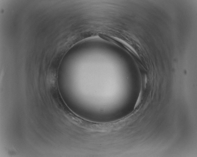 X0000074930033200609081337