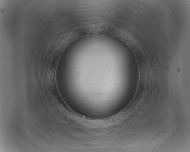 X0000074930034200609081337