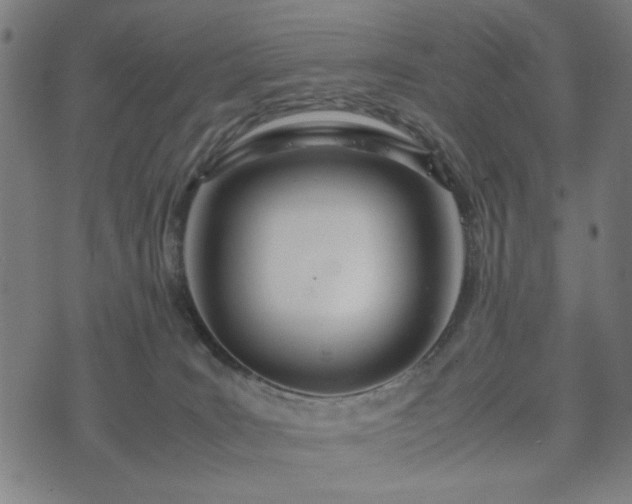 X0000074930035200609081337