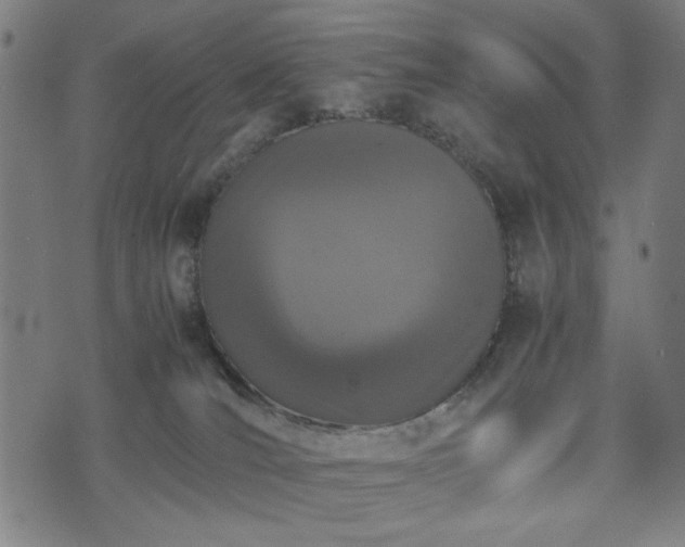 X0000074930036200609081337