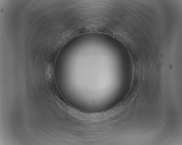 X0000074930038200609081337