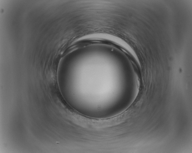 X0000074930039200609081337