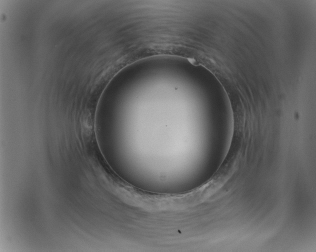 X0000074930040200609081337