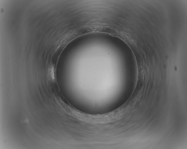 X0000074930042200609081337