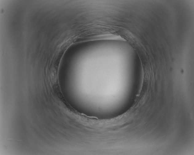 X0000074930043200609081337