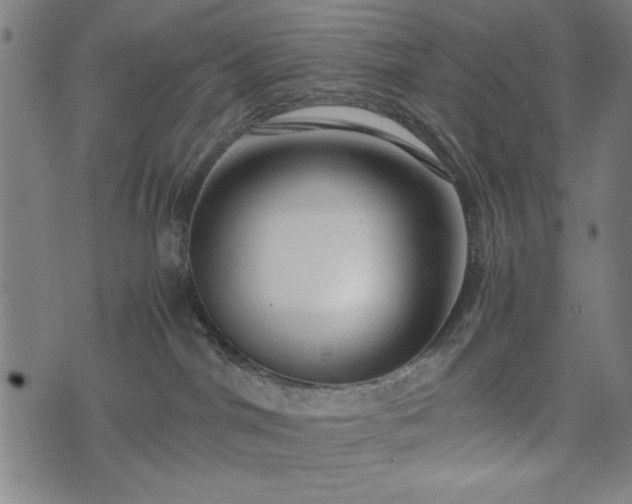 X0000074930044200609081337