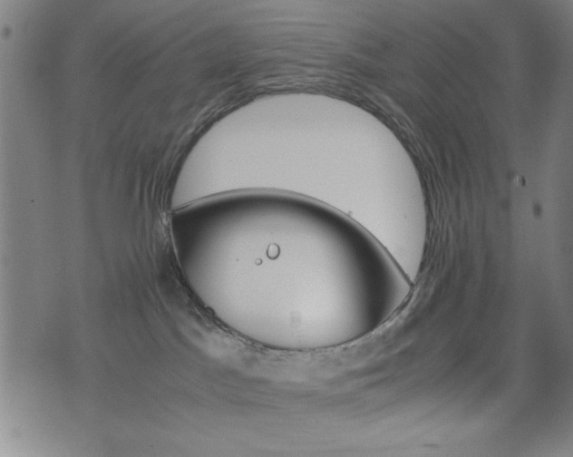 X0000074930045200609081337