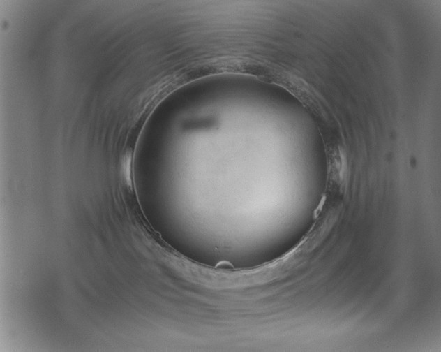 X0000074930047200609081337