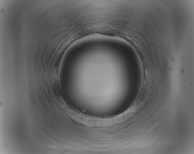 X0000074930048200609081337