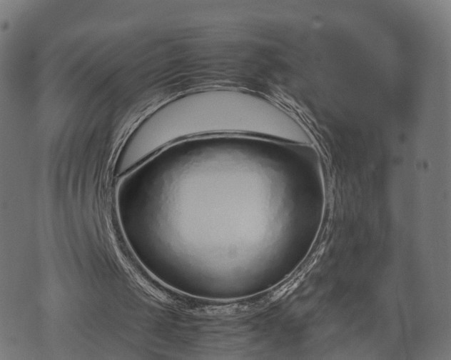 X0000074930049200609081336