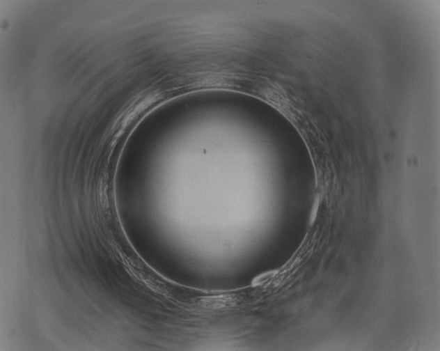 X0000074930050200609081336