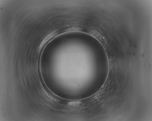 X0000074930051200609081336