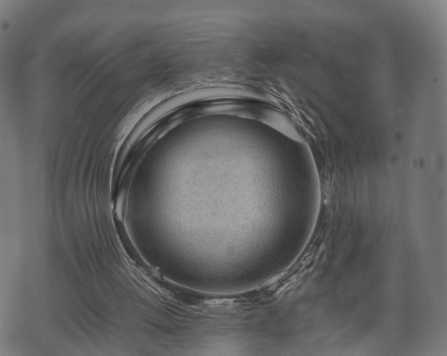 X0000074930052200609081336