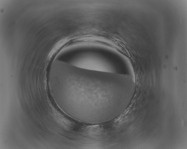 X0000074930054200609081336