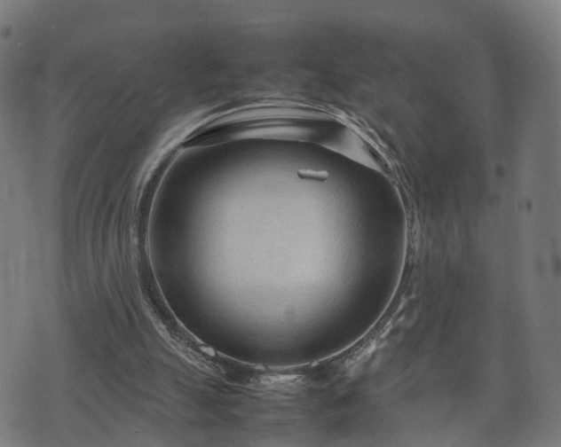 X0000074930055200609081336