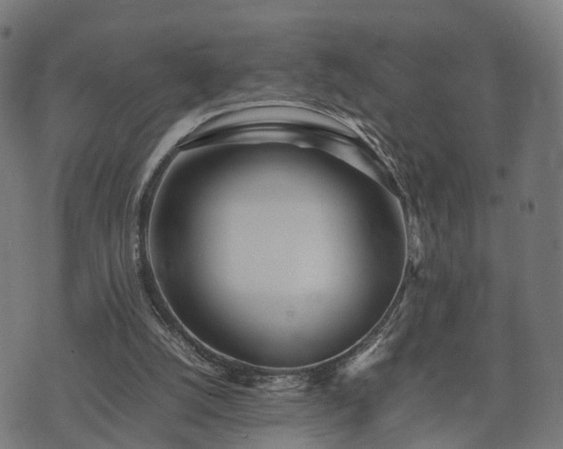 X0000074930056200609081336