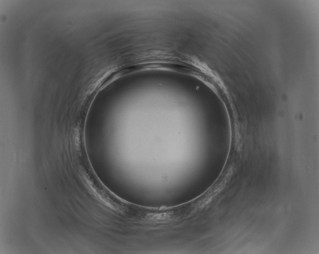 X0000074930057200609081336