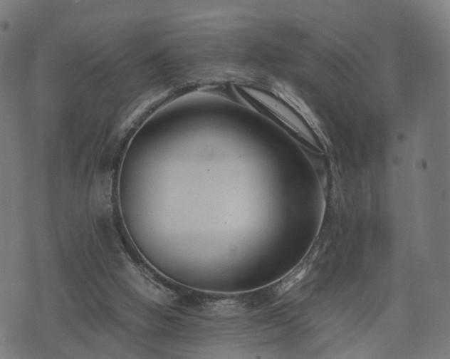 X0000074930058200609081336