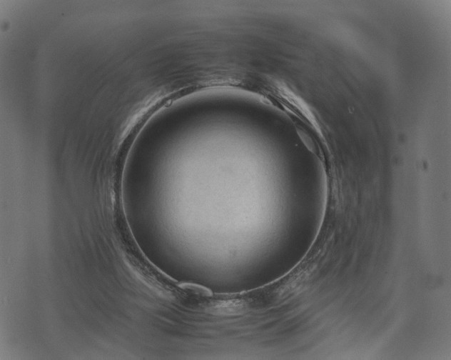 X0000074930059200609081336