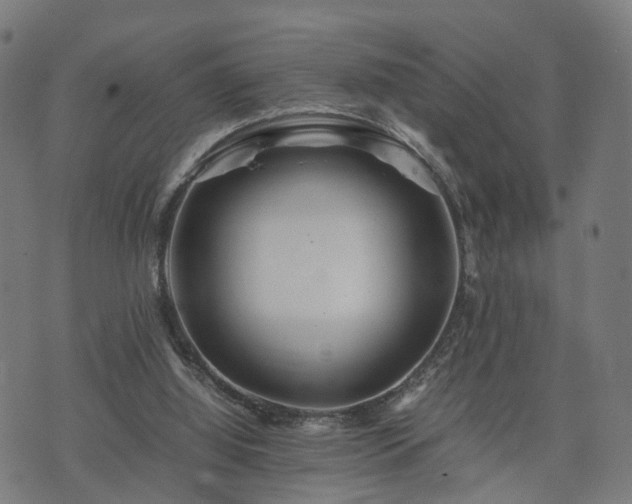 X0000074930060200609081336