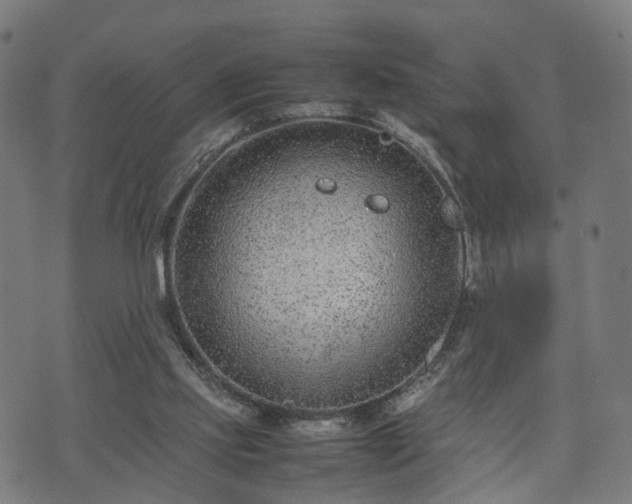 X0000074930061200609081336