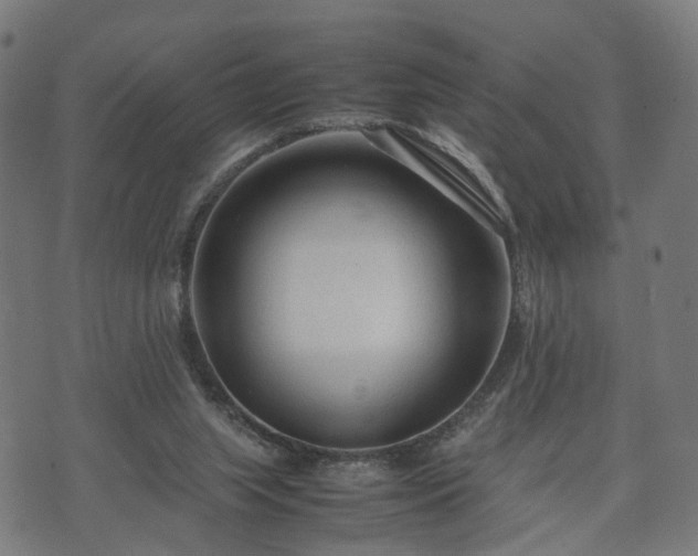 X0000074930063200609081336