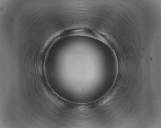 X0000074930064200609081336