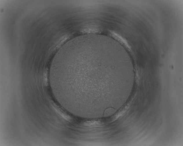 X0000074930065200609081336