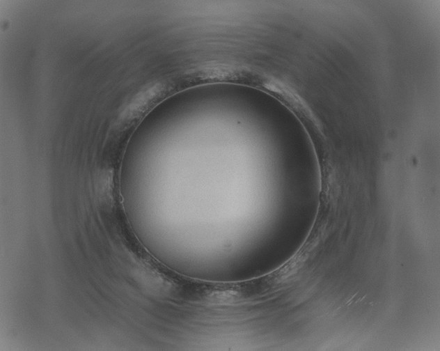 X0000074930066200609081336