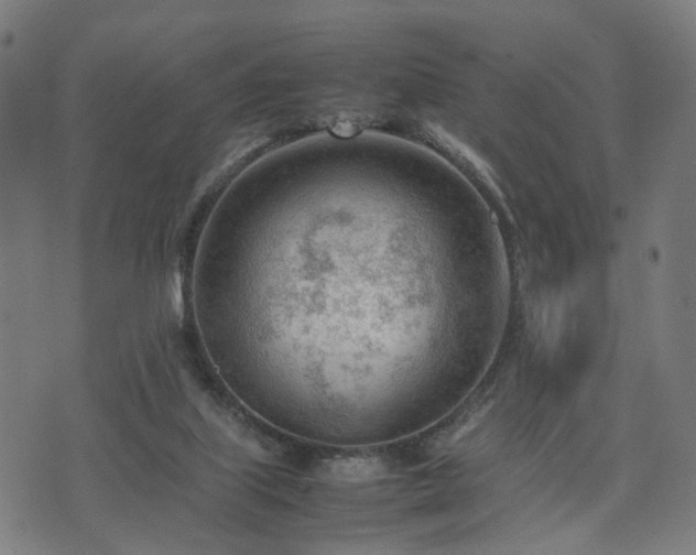 X0000074930067200609081336