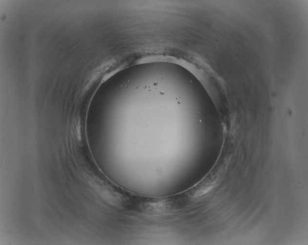 X0000074930068200609081336