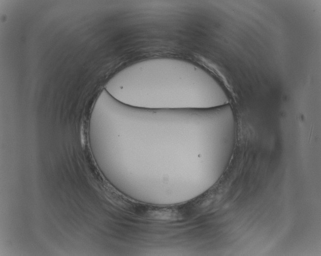 X0000074930069200609081336