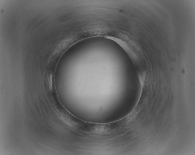 X0000074930070200609081336