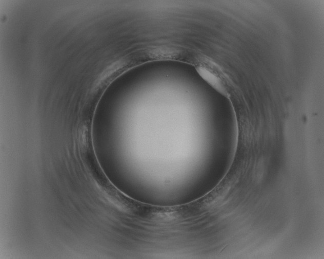 X0000074930071200609081336