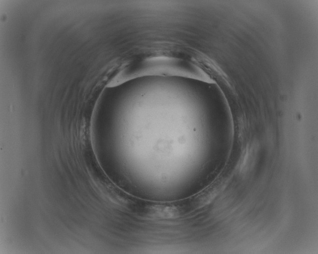 X0000074930073200609081336