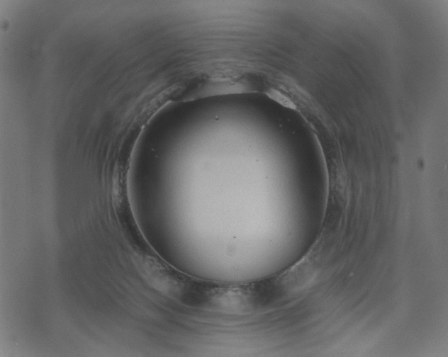 X0000074930074200609081336