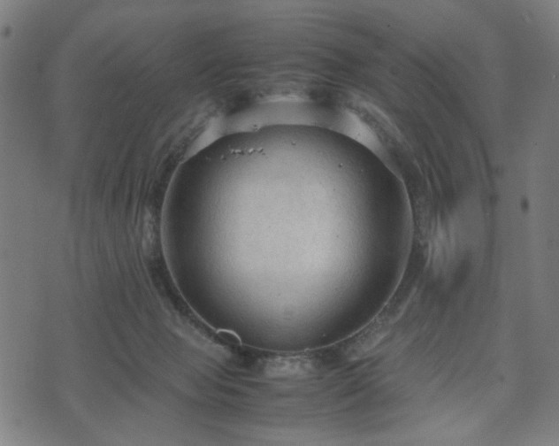 X0000074930077200609081336