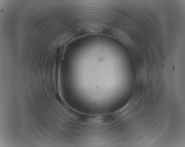 X0000074930078200609081336