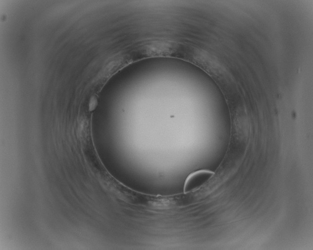 X0000074930079200609081336