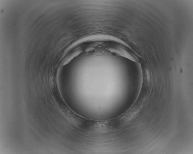 X0000074930080200609081336