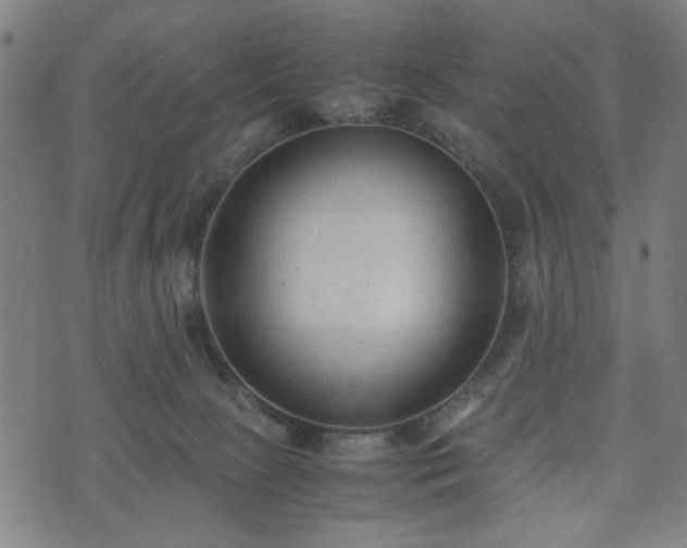 X0000074930081200609081336