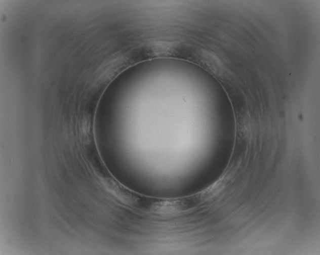 X0000074930082200609081336