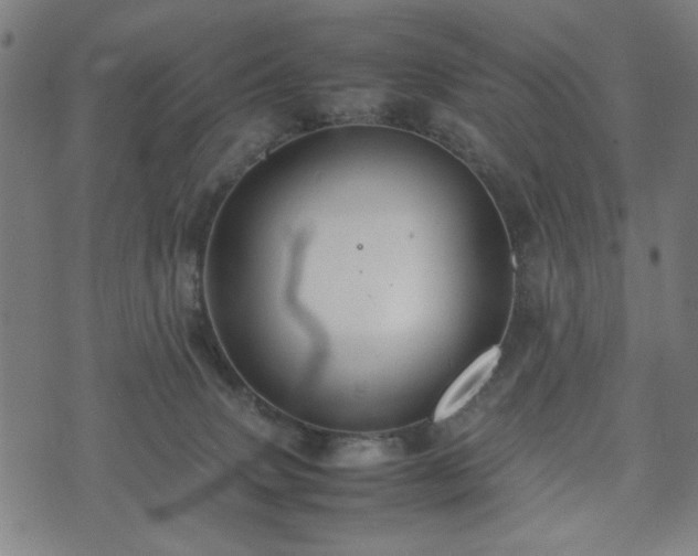 X0000074930083200609081336