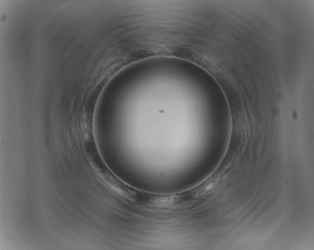 X0000074930084200609081336